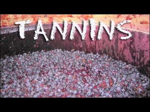 What are Tannins?