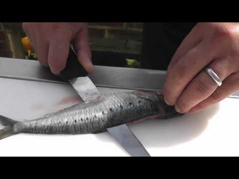 Passionate About Fish - How to prepare Sardines