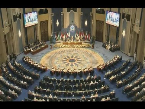 Political Specials - Arab League Summit 2014