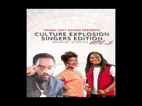 Culture Reggae Mix: Chronixx, Jah Cure, Alaine, Christopher Martin, Busy Signal & More