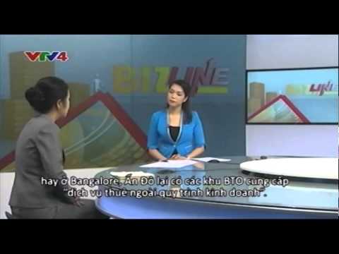 VTV4 Bizline: Special Economic Zones in Vietnam | 14/06/2014