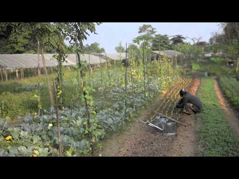 Better Roads Boost Organic Farming in the Greater Mekong Subregion