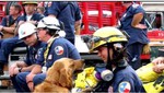 Over her long career, Bretagne has made a significant contribution to the search and rescue community through her many deployments including the World Trade Center after 9/11, the 2002 Olympic Winter Games, and Hurricane Rita in 2005.