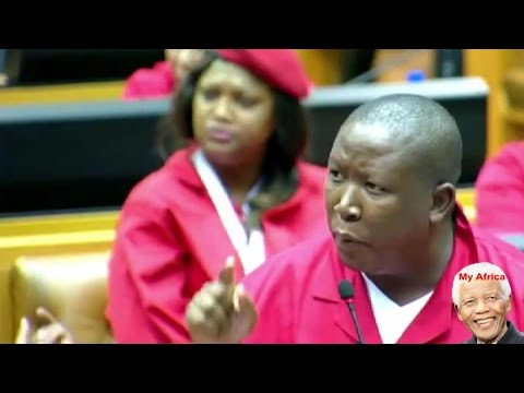 EFF And Julius Malmea FORCEFULLY Removed From SONA 2015