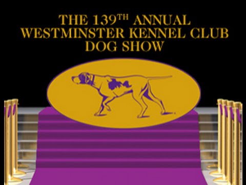 Westminster Kennel Club Dog Show FULL 2015 - Westminster Dog Show