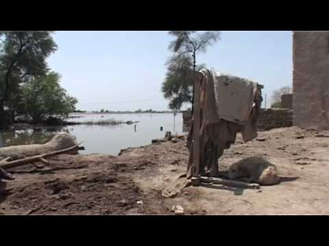 Pakistan floods: The new island villages of Sindh province