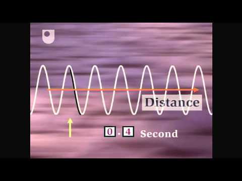 Oscillation and Wave Speed - Exploring Wave Motion (2/5)