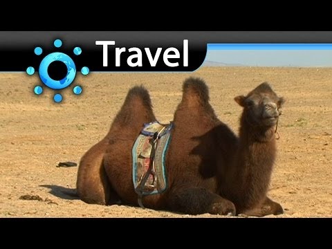 Gobi Desert Travel Video Guide