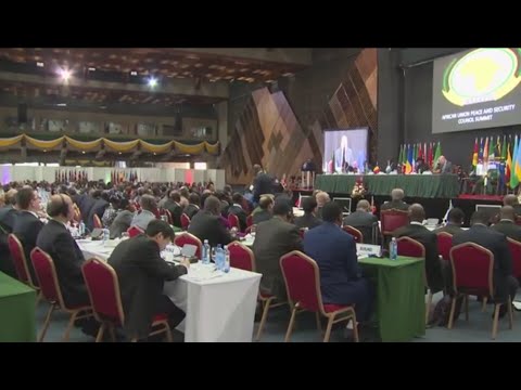 Africa In Focus: African Union Summit