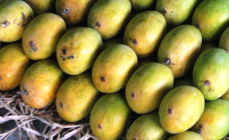 Alphonso mangoes, India