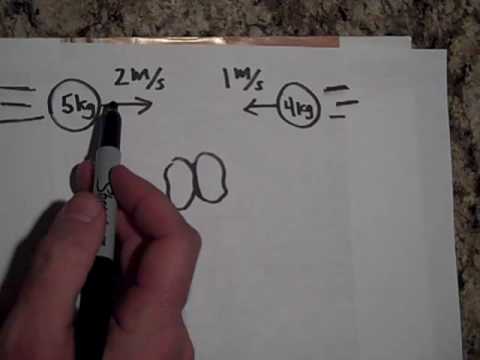 Momentum and Types of Collisions in Physics