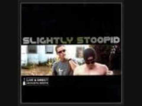 Slightly Stoopid - Officer