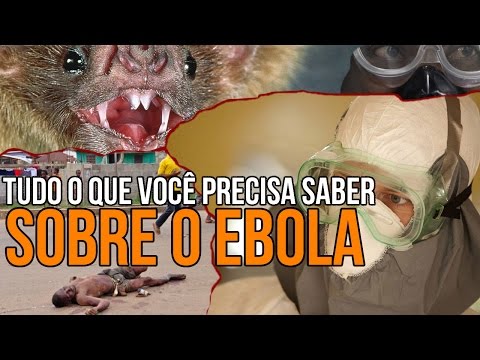 Tudo o que você precisa saber sobre o Ebola