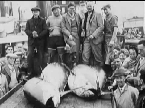 World Record of Giant Bluefin Tuna 1496 lbs Ken Fraser & Nova Scotia Highlight