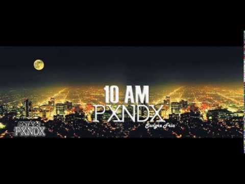 Panda-  10am