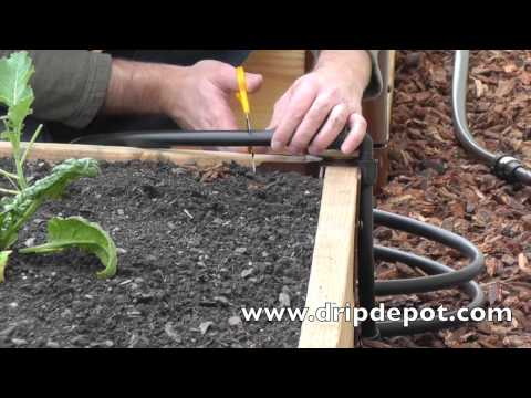 How to install a Drip Irrigation System in Raised Beds