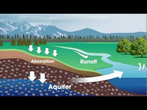 Water and You: The Water Cycle