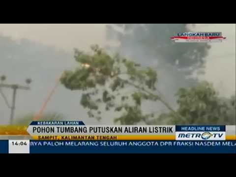 Fire causes Electric Current Land Disturbed • Indonesia News •