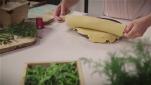 How to make shortcut pastry