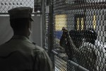 File - A Sailor assigned to the Navy Expeditionary Guard Battalion stands watch over a cell block in Camp 6 at Joint Task Force (JTF) Guantanamo.