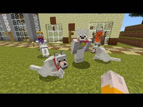 Minecraft Xbox - Pick A Pet  [111]