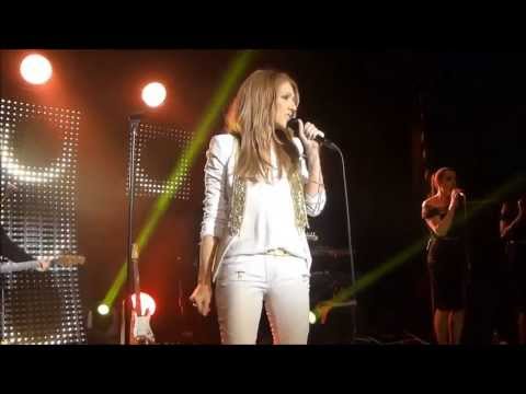 Celine Dion Private Concert NYC 2013