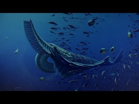 Gentle giants of the Cambrian