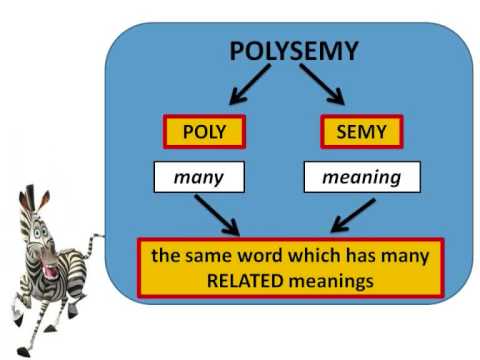 Polysemy Part 1