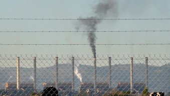 Australia's 'dirtiest' power station considers 'clean energy' biomass burning option