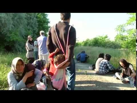 Hungary plans fence to keep out migrants • Breaking News