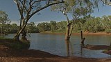 The mission to drought-proof Australia - led by mining boss Andrew Forrest