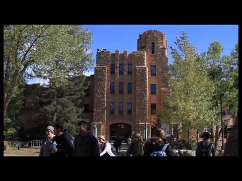 Go for Gold • Be a Cowboy!  University of Wyoming