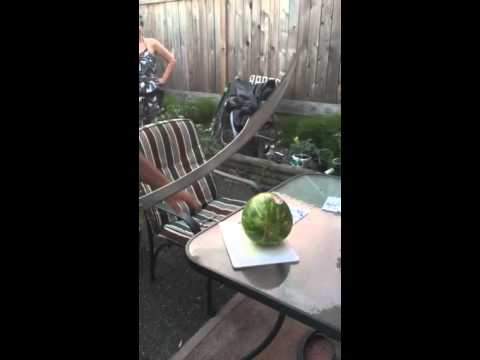 Ali cuts the watermelon