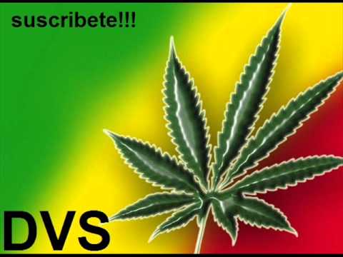 Por cultivar marihuana (con letra)