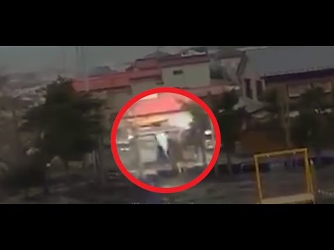 During Japan Tsunami a strange creature was caught on camera - real footage