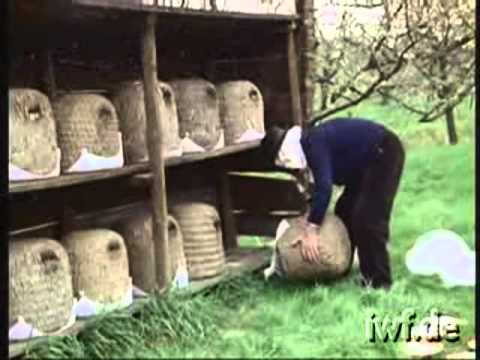 Heathland Beekeeping   1   Spring Work in a Heather Skep Apiary xvid