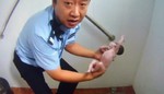 Abandoned newborn baby rescued from toilet pipe in China after cries heard