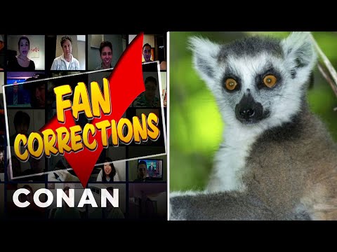 Fan Correction: That's A Tarsier, Not A Lemur!  - CONAN on TBS