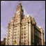 Liver building