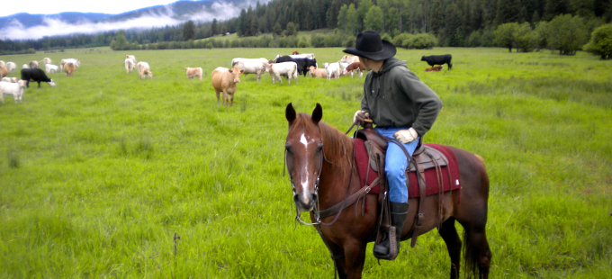 Range riders head into the field