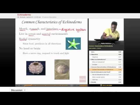 Life Science - Echinoderms