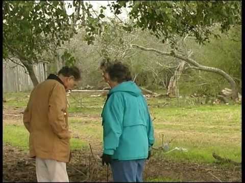 The first Lithuanian in Texas