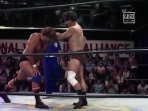 Jack Brisco vs Don Muraco