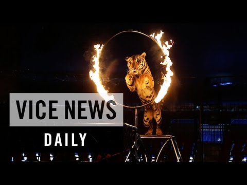 VICE News Daily: Mexico Bans Circus Animal Performances