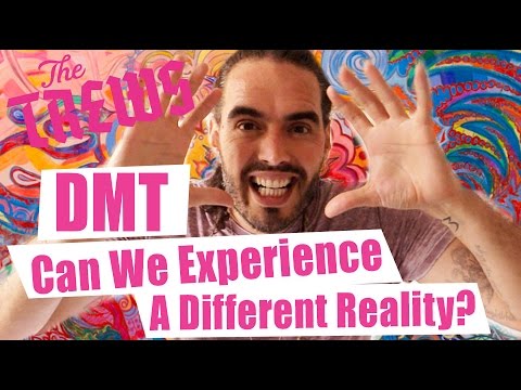 DMT - Can We Experience A Different Reality? Russell Brand The Trews (E360)