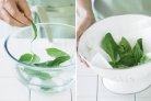 How to prepare fresh herbs