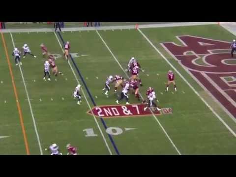 2014-2015 NFL's Best Season Plays