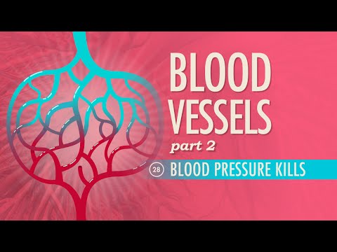 Blood Vessels part 2: Crash Course Anatomy & Physiology