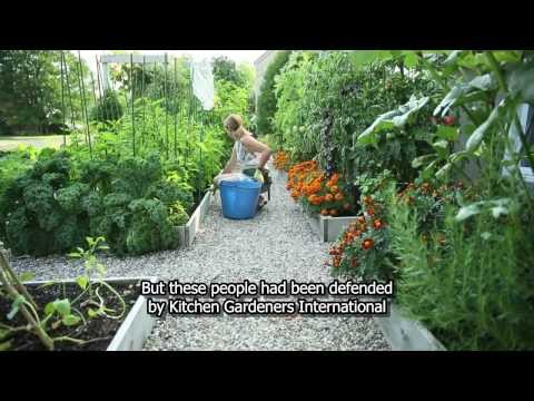 Drummondville's front yard vegetable garden