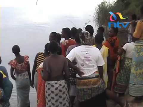 Hippo menace in Malindi